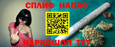 apvp Пугачёв