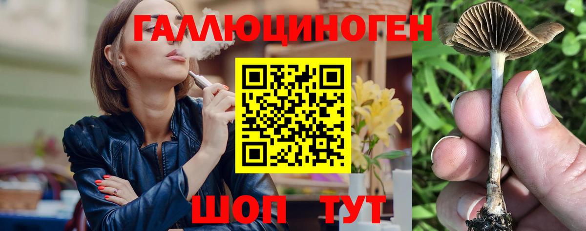 Псилоцибиновые грибы Psilocybine cubensis  Вход с VPN  Славянск-на-Кубани  Галлюциногенные грибы ЛСД 